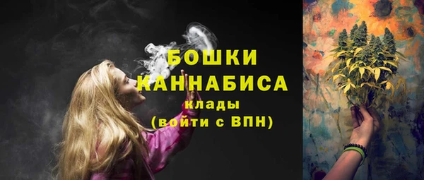 стаф Арсеньев