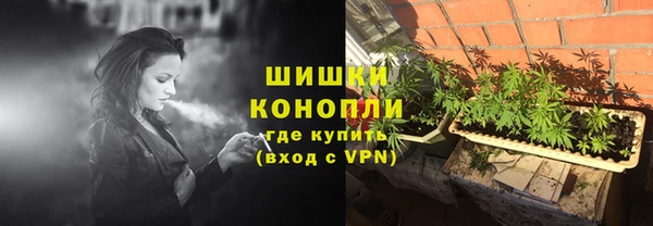 стаф Арсеньев