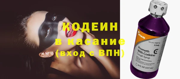 стаф Арсеньев