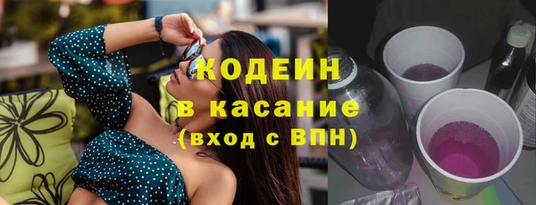 стаф Арсеньев