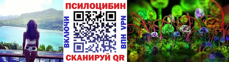 Псилоцибиновые грибы мицелий  Ипатово 
